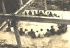 Bai-Dau093.JPG
