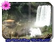 DSC00210.JPG